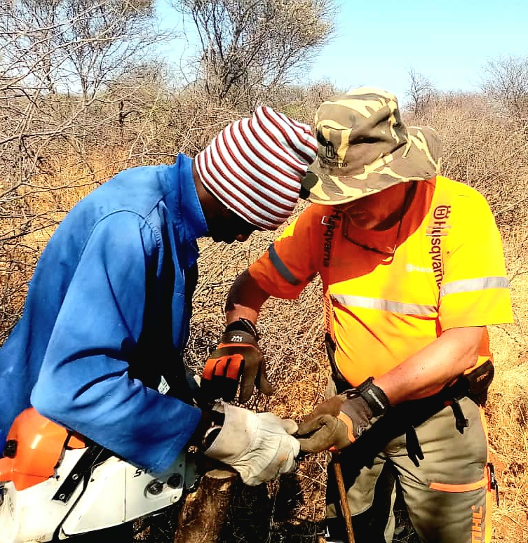 Roger N. Duke Jackson in the field, Southern Africa